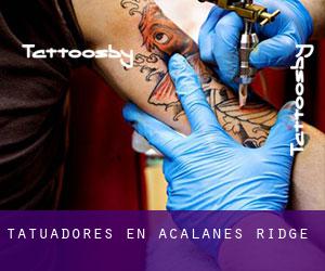 Tatuadores en Acalanes Ridge