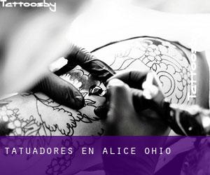 Tatuadores en Alice (Ohio)