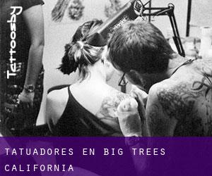 Tatuadores en Big Trees (California)