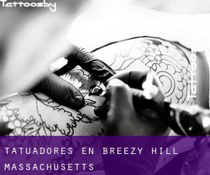 Tatuadores en Breezy Hill (Massachusetts)