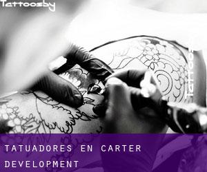 Tatuadores en Carter Development