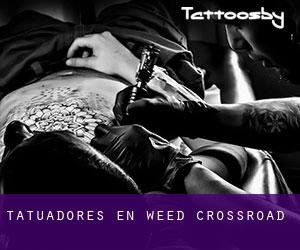 Tatuadores en Weed Crossroad