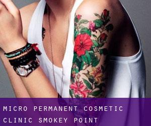 Micro Permanent Cosmetic Clinic (Smokey Point)
