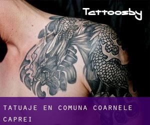 tatuaje en Comuna Coarnele Caprei